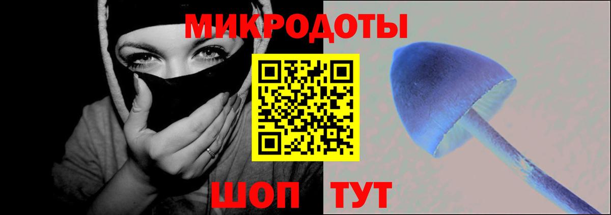 Галлюциногенные грибы GOLDEN TEACHER  Вход с VPN  Вольск 