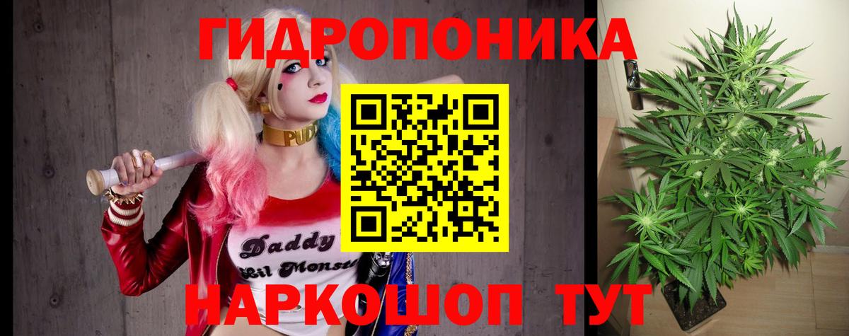 МАРИХУАНА марихуана  Вход с VPN  Бошки марихуана Bruce Banner  Вольск 